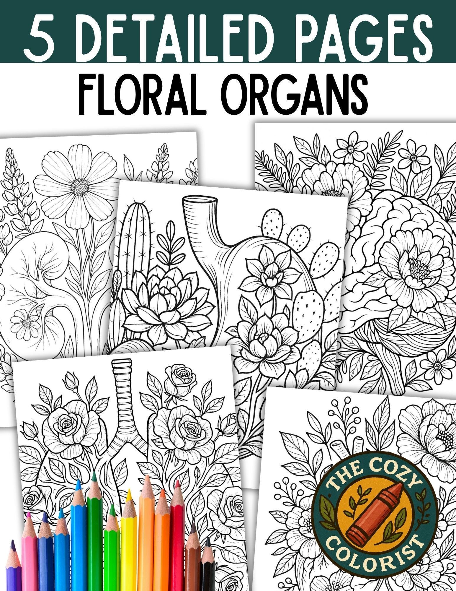 Floral Anatomy Coloring Pages Human Organs Botanical Art PDF Download Etsy Floral Anatomy Coloring Pages Human Organs Botanical Art PDF Download Etsy