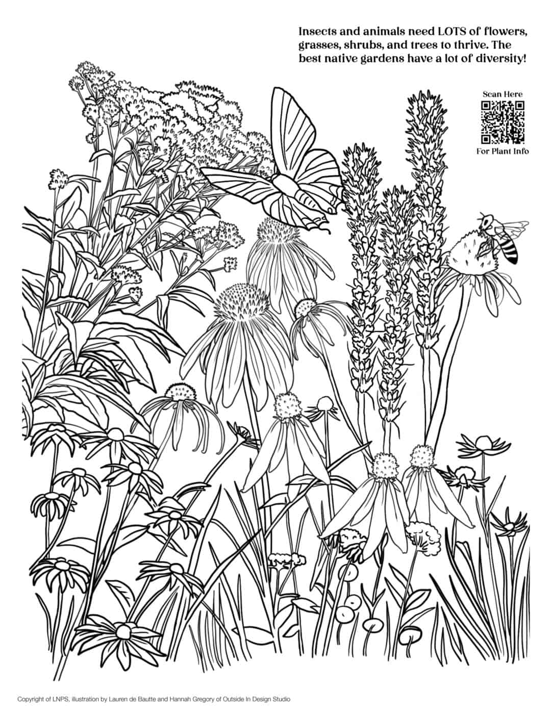 FREE Coloring Pages For Download Louisiana Native Plant Society FREE Coloring Pages For Download Louisiana Native Plant Society