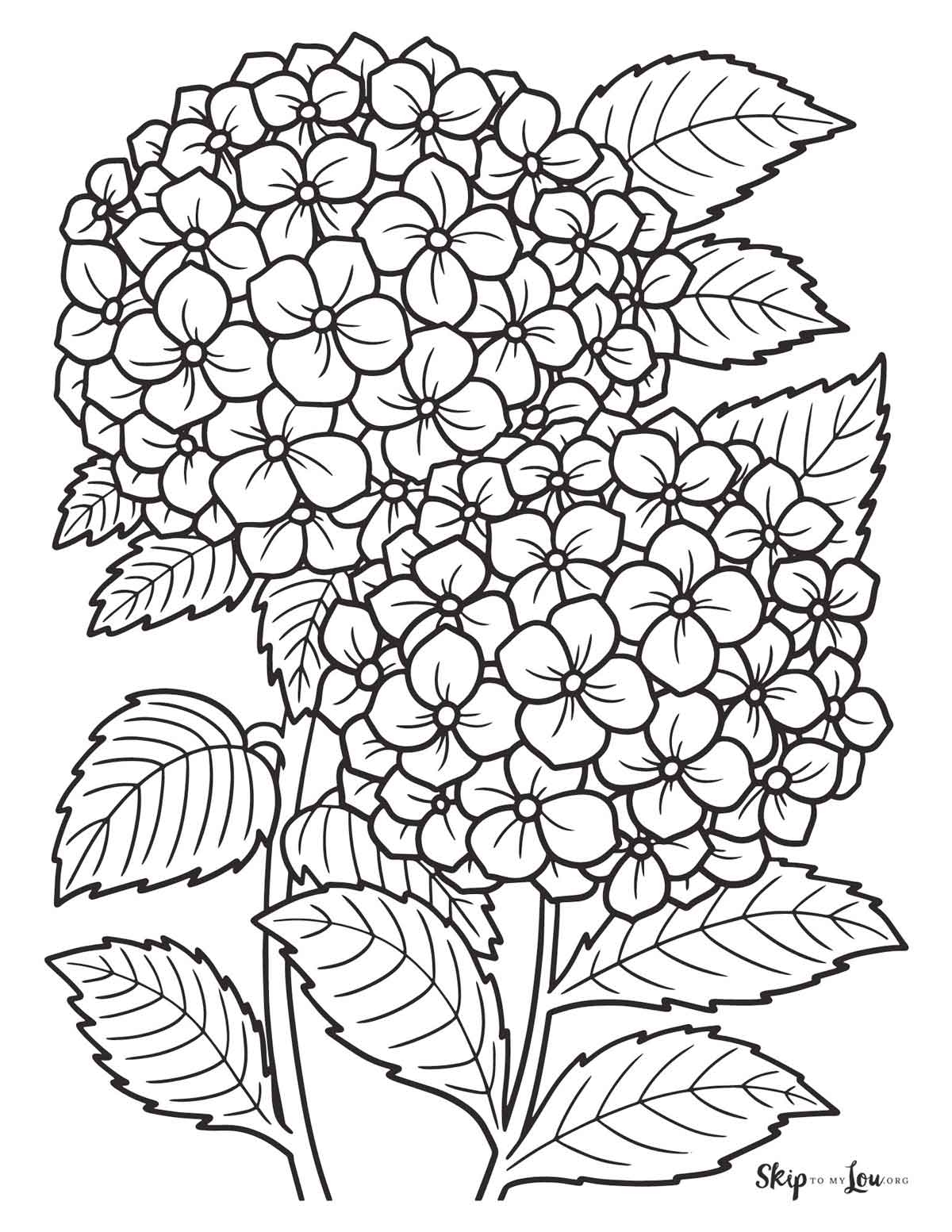FREE Flower Coloring Pages For Kids And Adults Skip To My Lou
