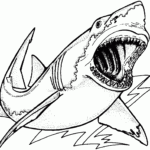Free Shark Coloring Pages
