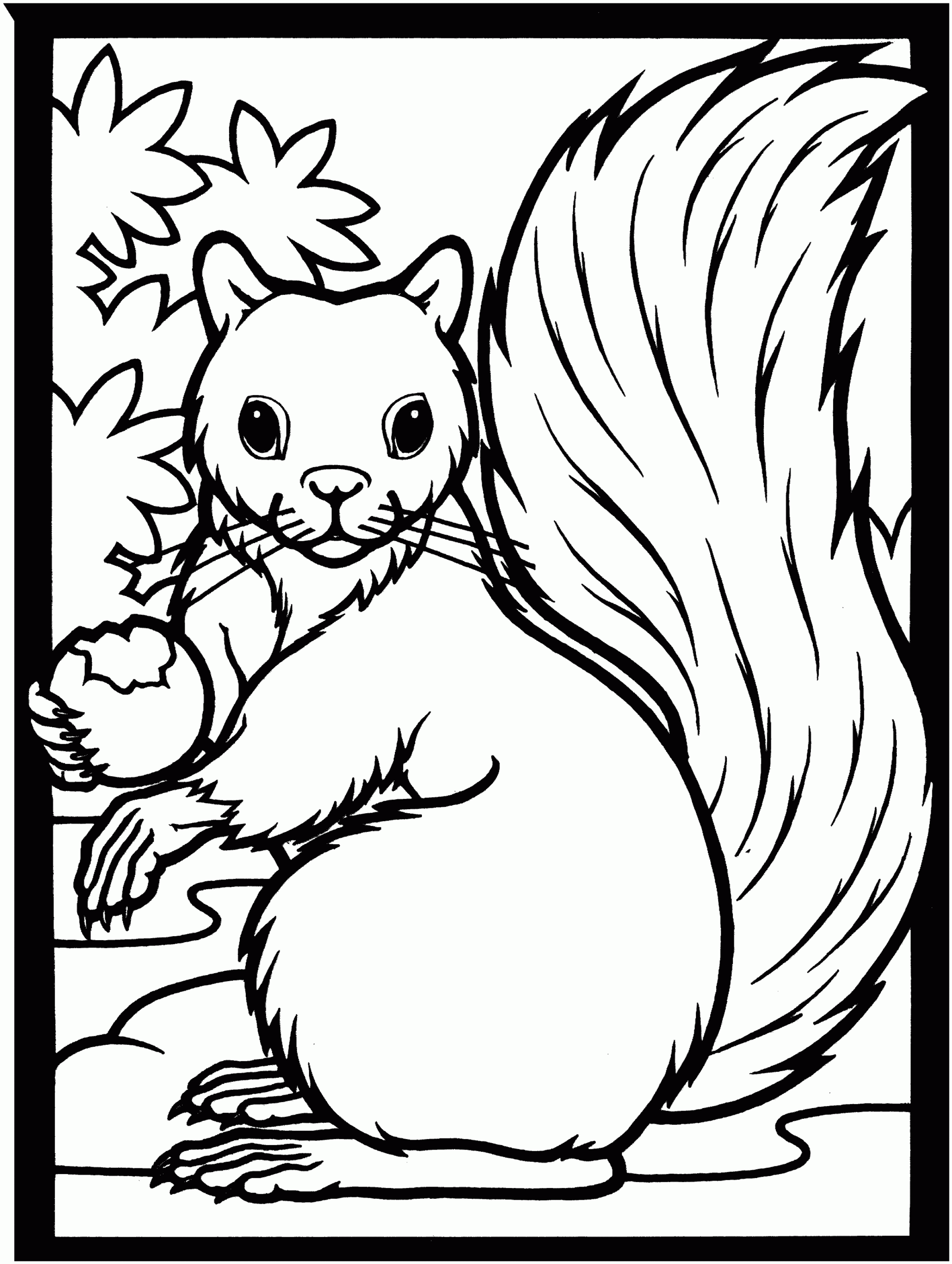 coloring pages of squirrels