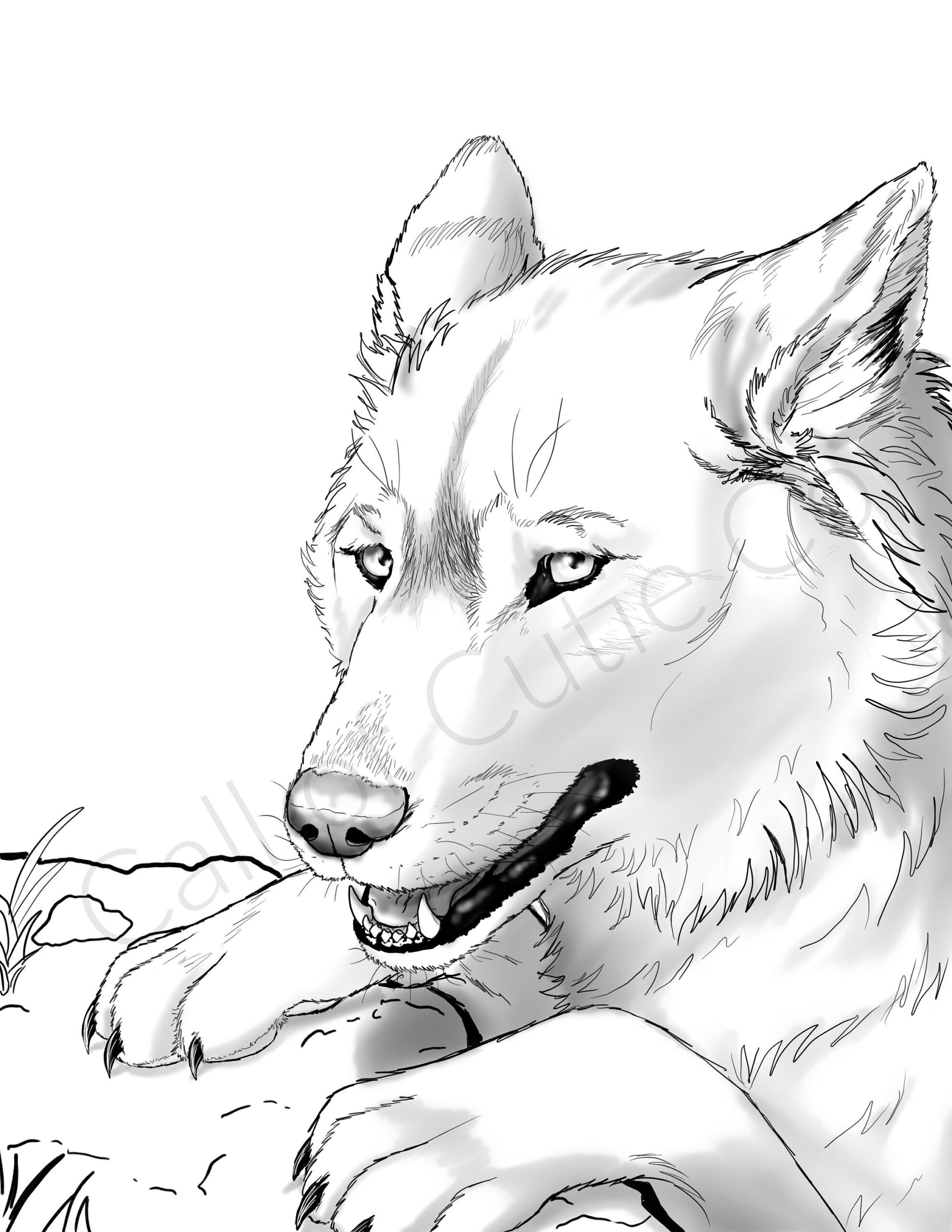 Gray Wolf Color Page digital Wolf Coloring Pages animal Coloring Pages Etsy Gray Wolf Color Page digital Wolf Coloring Pages animal Coloring Pages Etsy