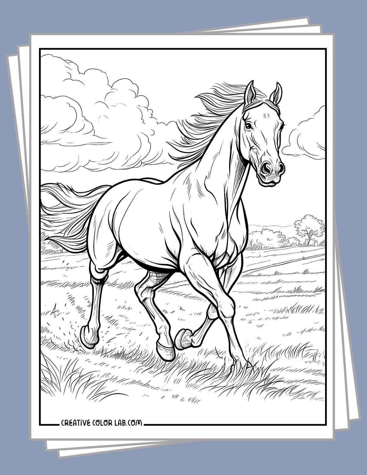 horse printable colouring pages