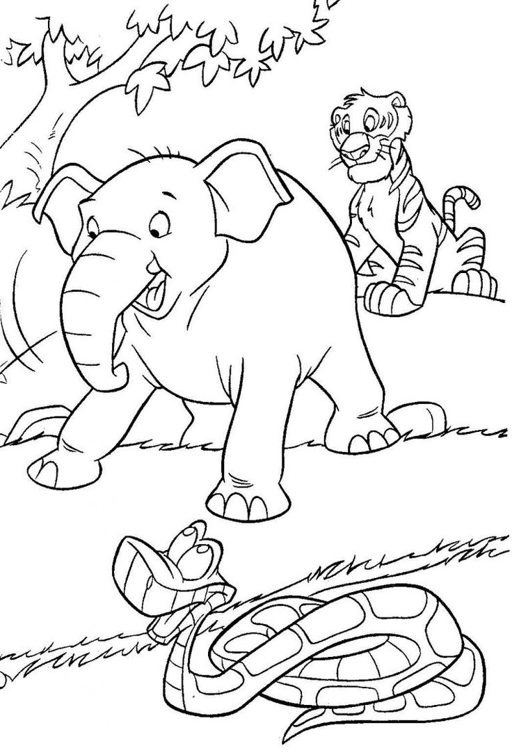 jungle pictures to color jungle pictures to color