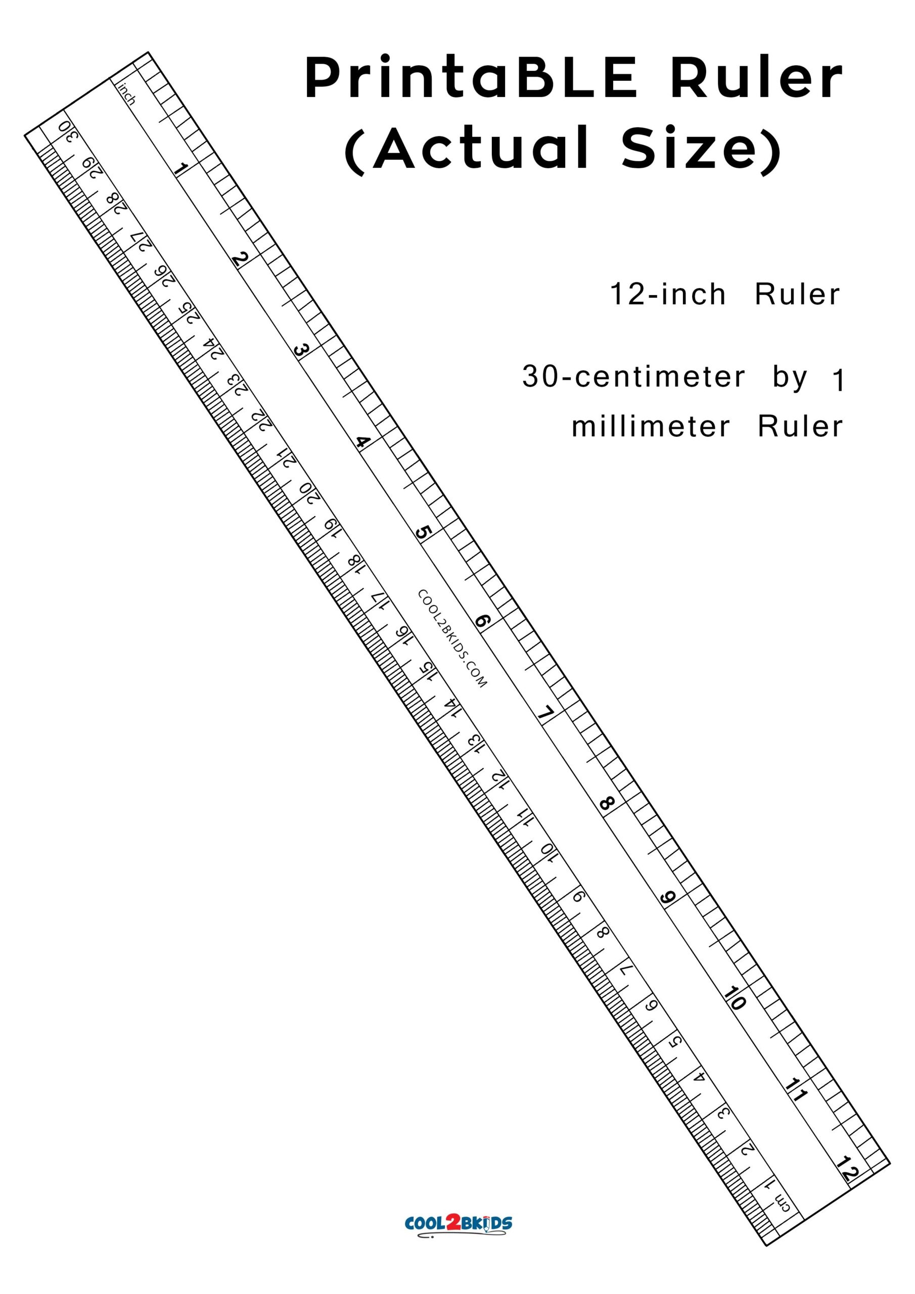 Life Size Mm Ruler On Sale