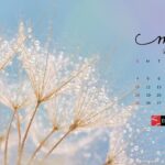 May Desktop Calendar Wallpaper EntheosWeb