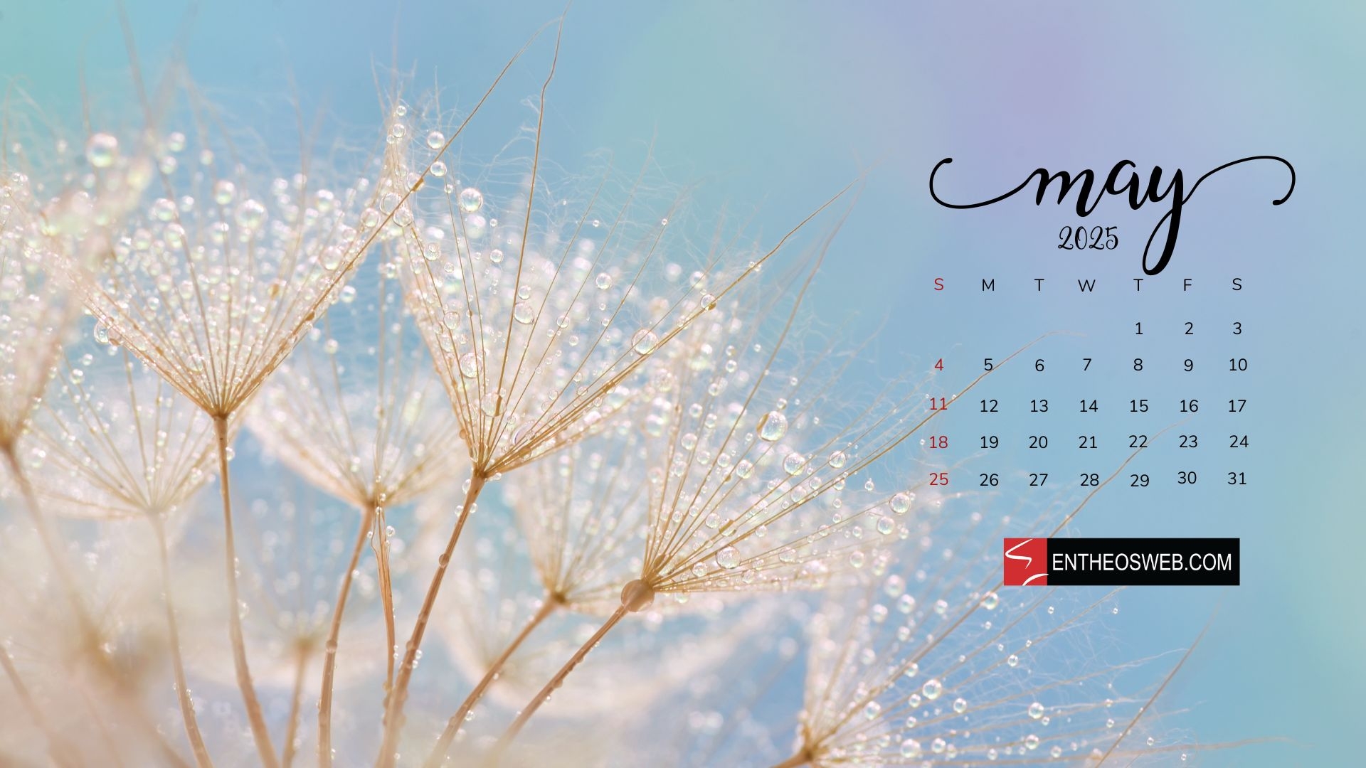 May Desktop Calendar Wallpaper EntheosWeb May Desktop Calendar Wallpaper EntheosWeb