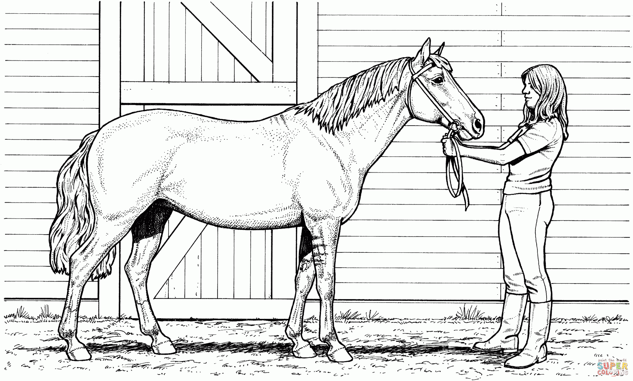 horse coloring books printable