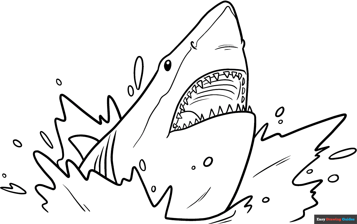 Shark Head Coloring Page Easy Drawing Guides Shark Head Coloring Page Easy Drawing Guides