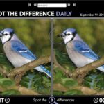 Spot The Difference Daily YouTube
