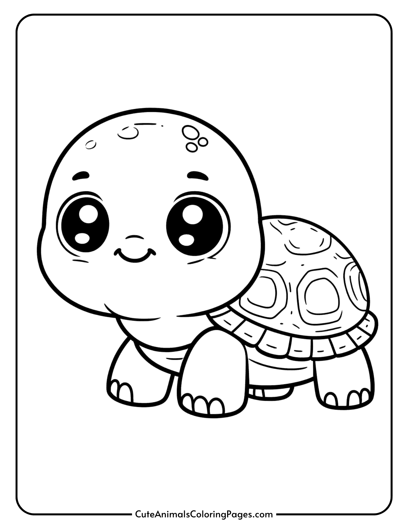 colouring pages of turtles