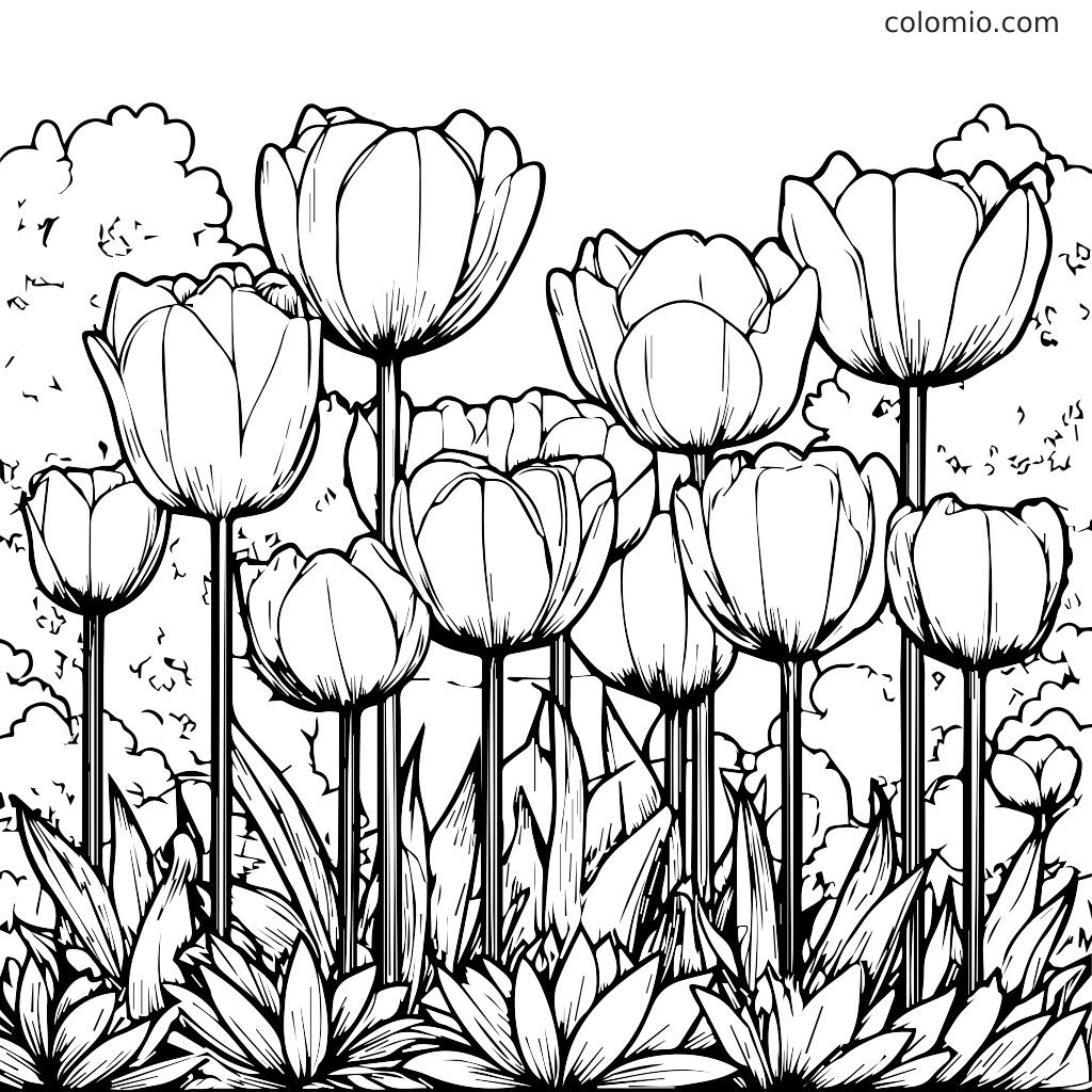 Tulips Coloring Pages Free Printable Tulip Coloring Sheets