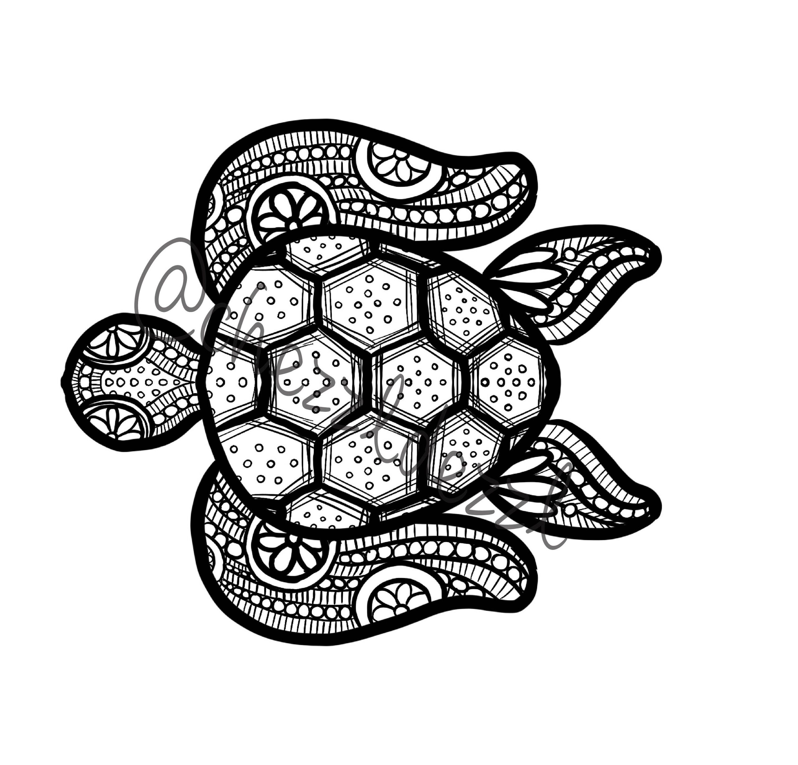 coloring pages turtle coloring pages turtle