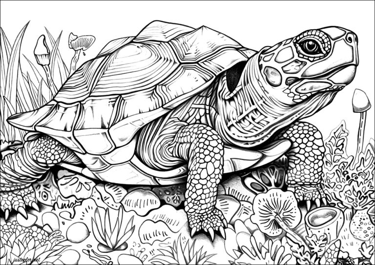 Very Realistic Turtle With Many Details Turtle And Tortoise Coloring Pages For Adults