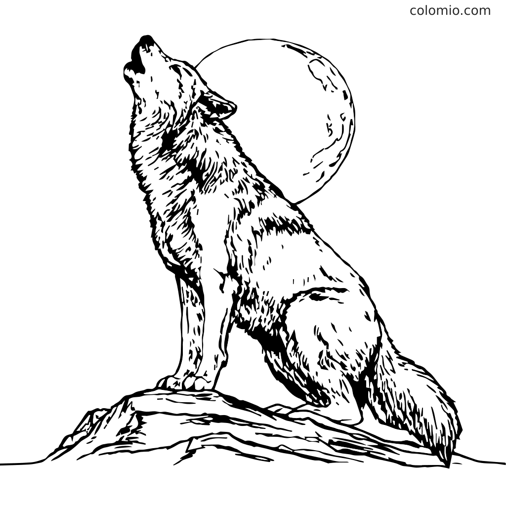 Wolves Coloring Pages Free Printable Wolf Coloring Sheets Wolves Coloring Pages Free Printable Wolf Coloring Sheets