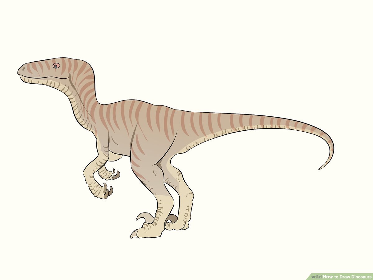 4 Ways To Draw Dinosaurs WikiHow 4 Ways To Draw Dinosaurs WikiHow