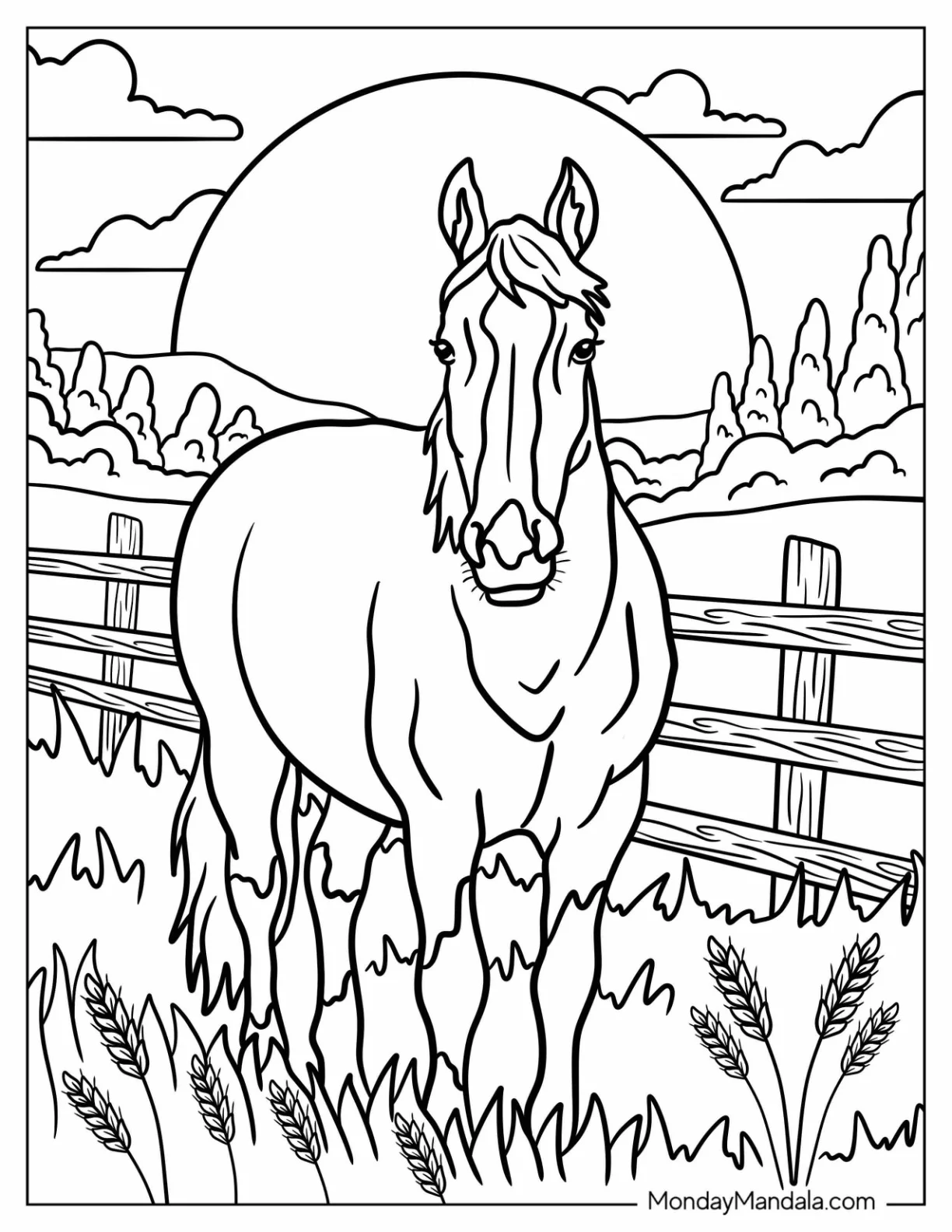 printable coloring pages of horses printable coloring pages of horses