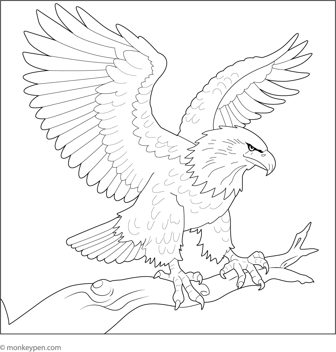 Bald Eagle Coloring Page Fun Printable Sheet For Kids Bald Eagle Coloring Page Fun Printable Sheet For Kids