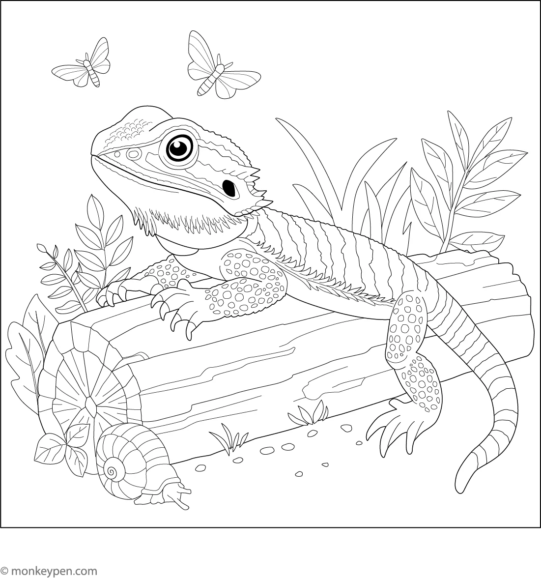 Bearded Dragon On A Log Coloring Page Bearded Dragon On A Log Coloring Page