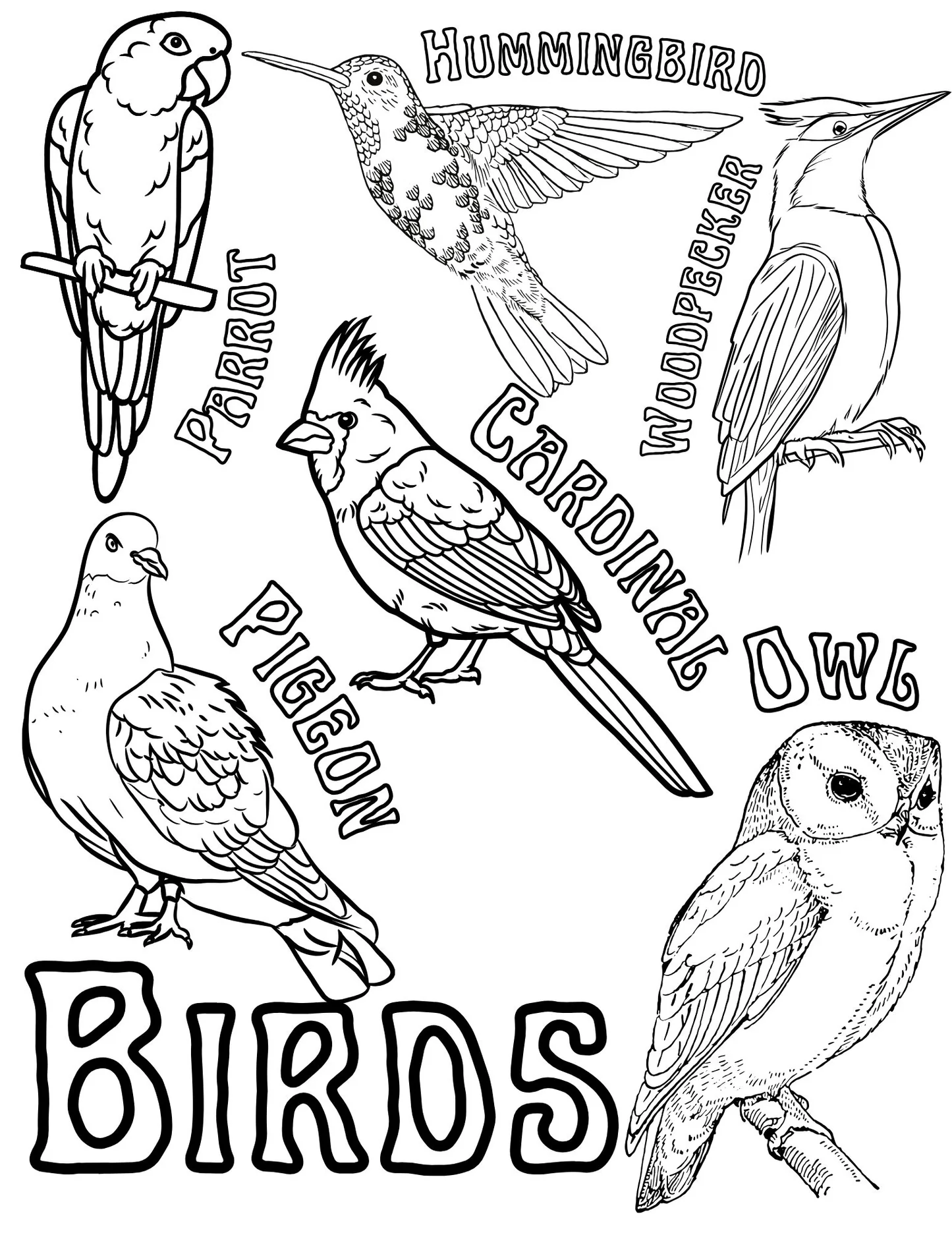 Birds Coloring Page TheHackyandbirdshop Birds Coloring Page TheHackyandbirdshop