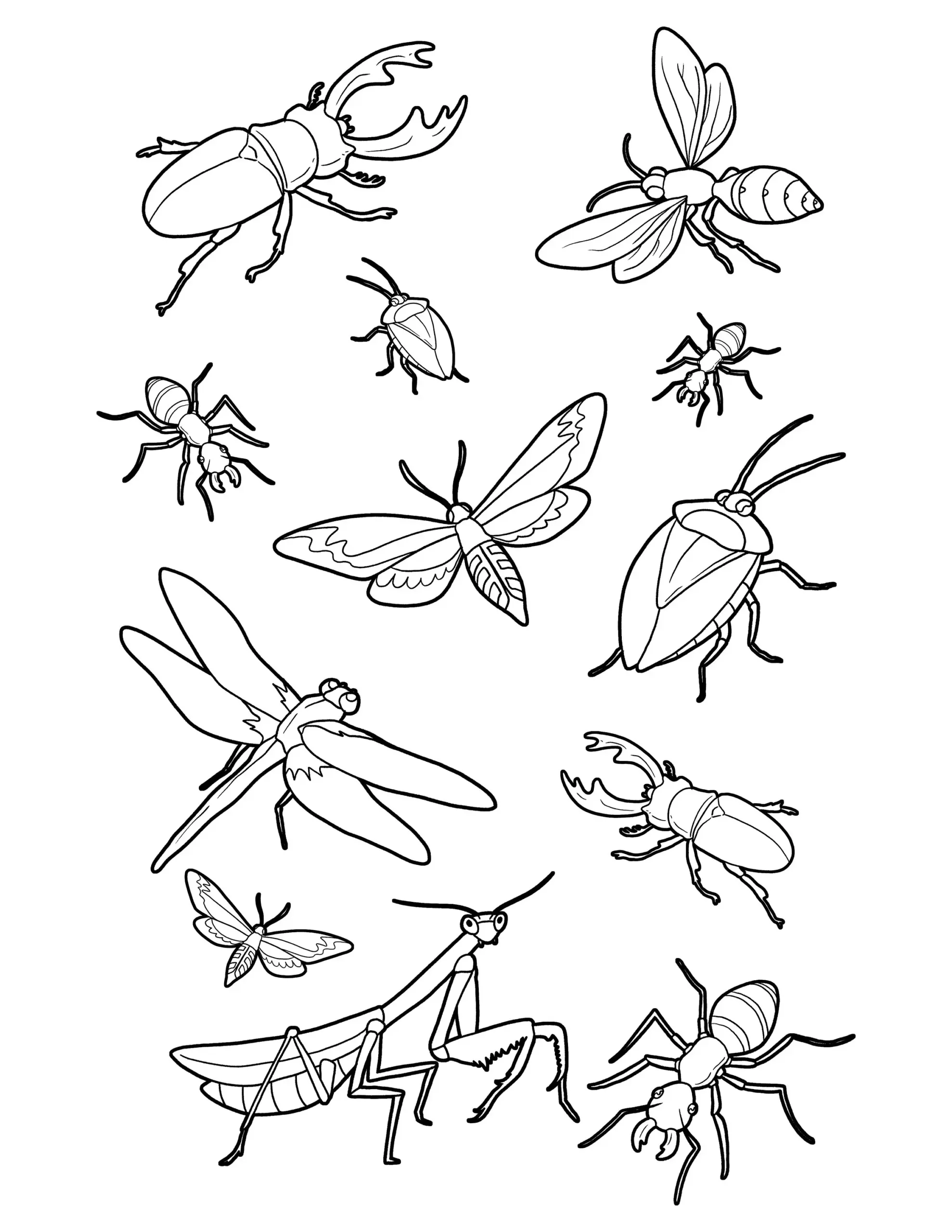 Bug Coloring Page Bugs And Insects Printable Digital Download Cute Bugs Art Activity Etsy Bug Coloring Page Bugs And Insects Printable Digital Download Cute Bugs Art Activity Etsy