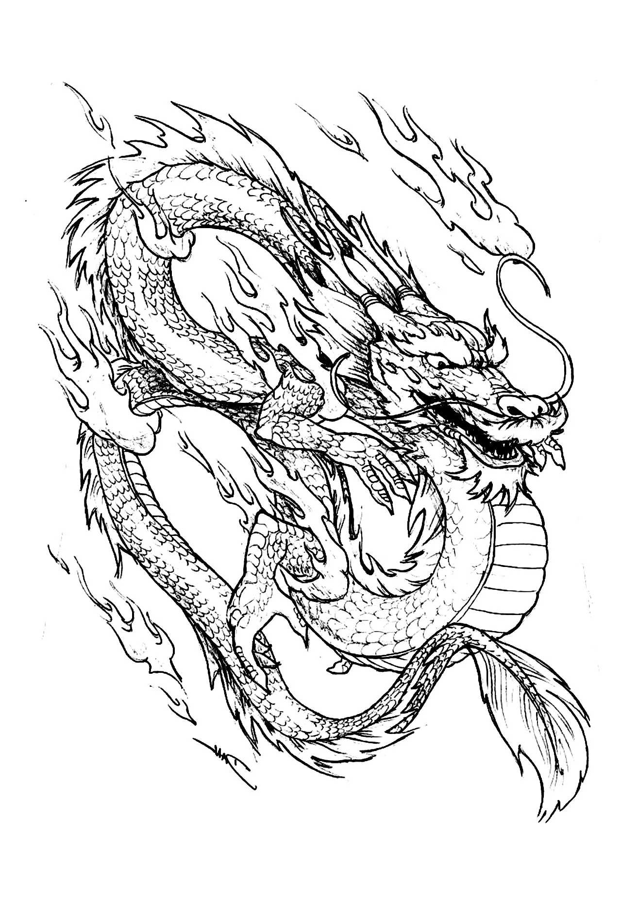 Chinese Dragon China Asia Coloring Pages For Adults Chinese Dragon China Asia Coloring Pages For Adults