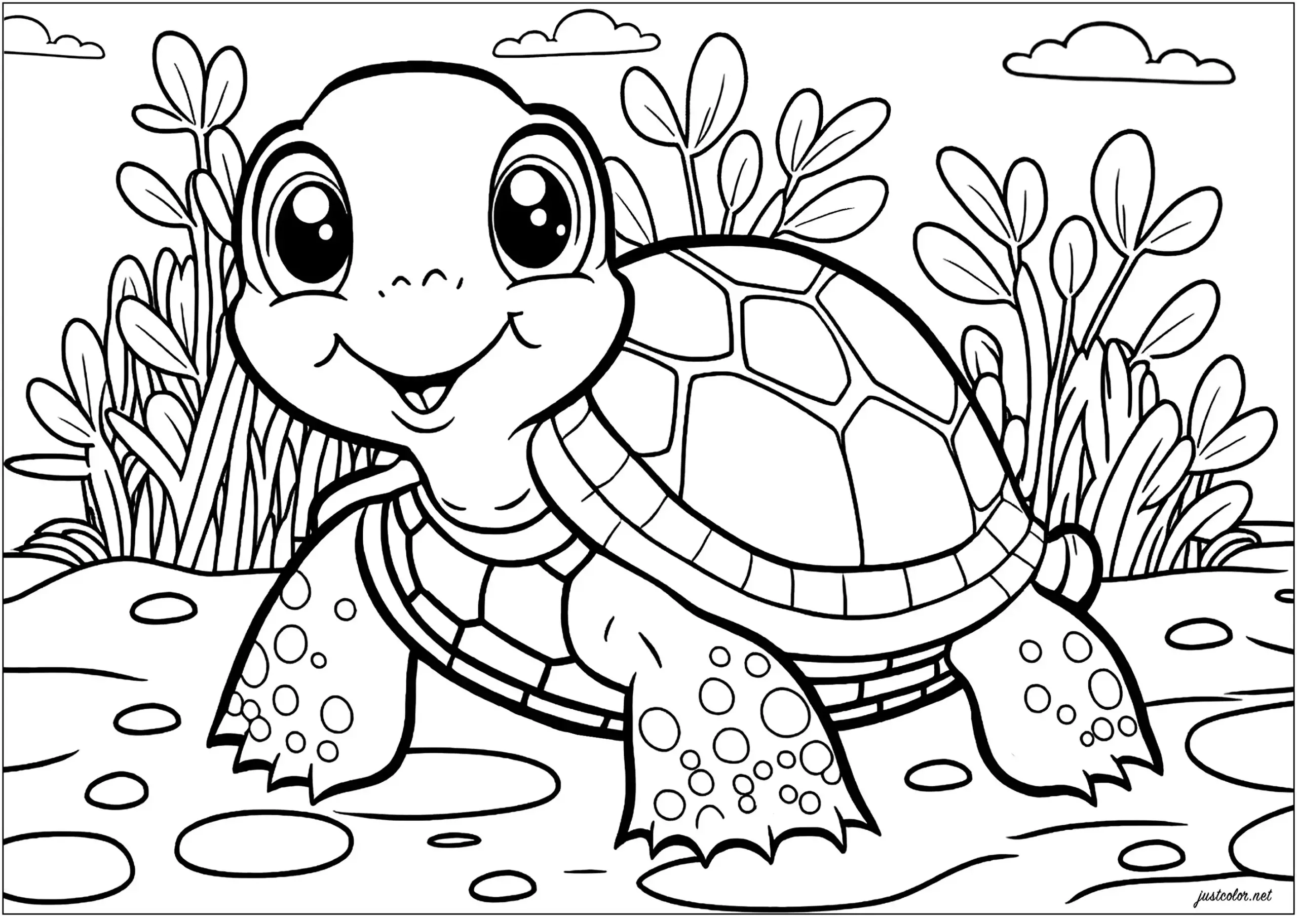 turtle coloring book pages turtle coloring book pages