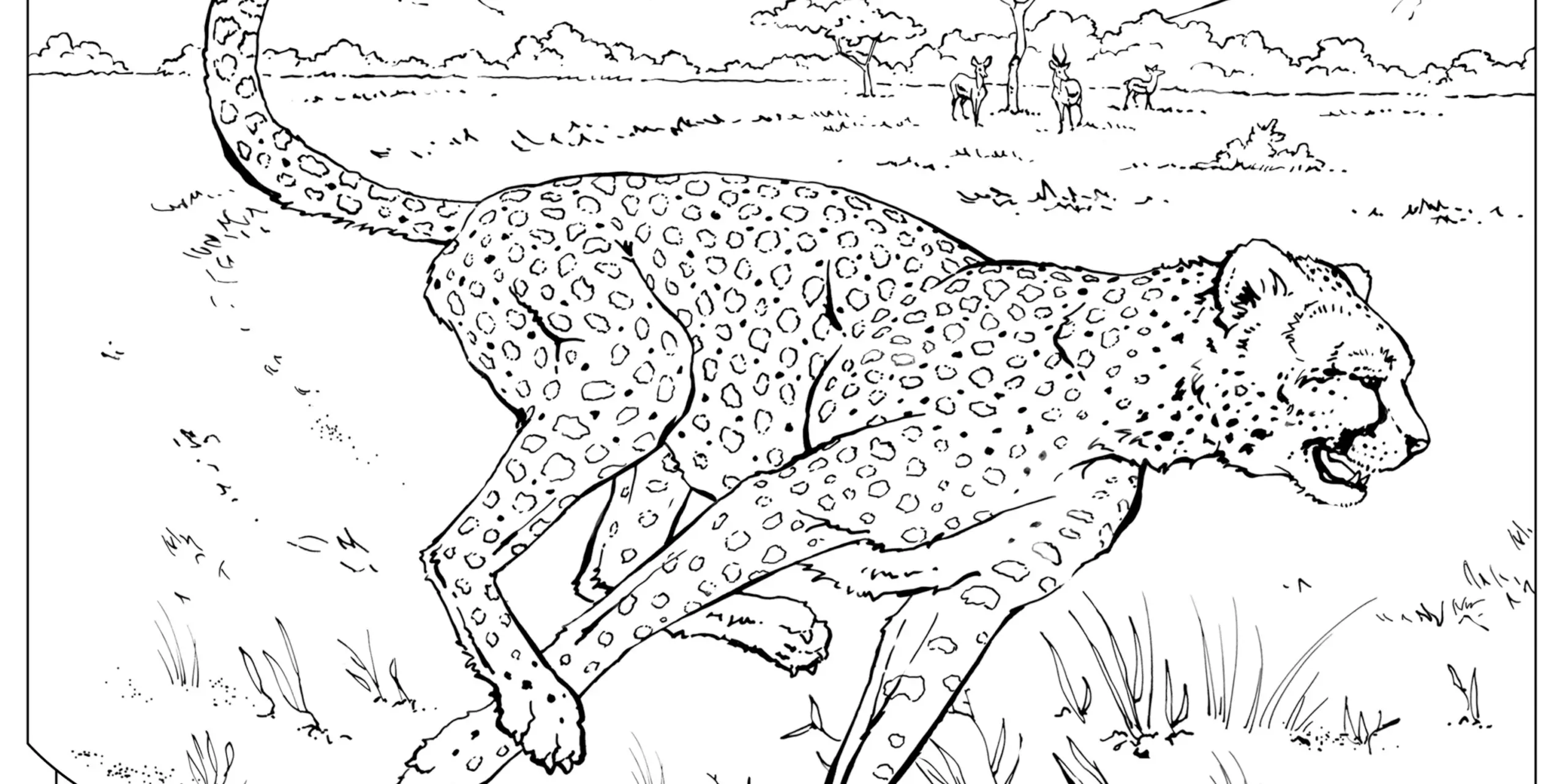 Coloring Book Animals A To I National Geographic Kids Coloring Book Animals A To I National Geographic Kids
