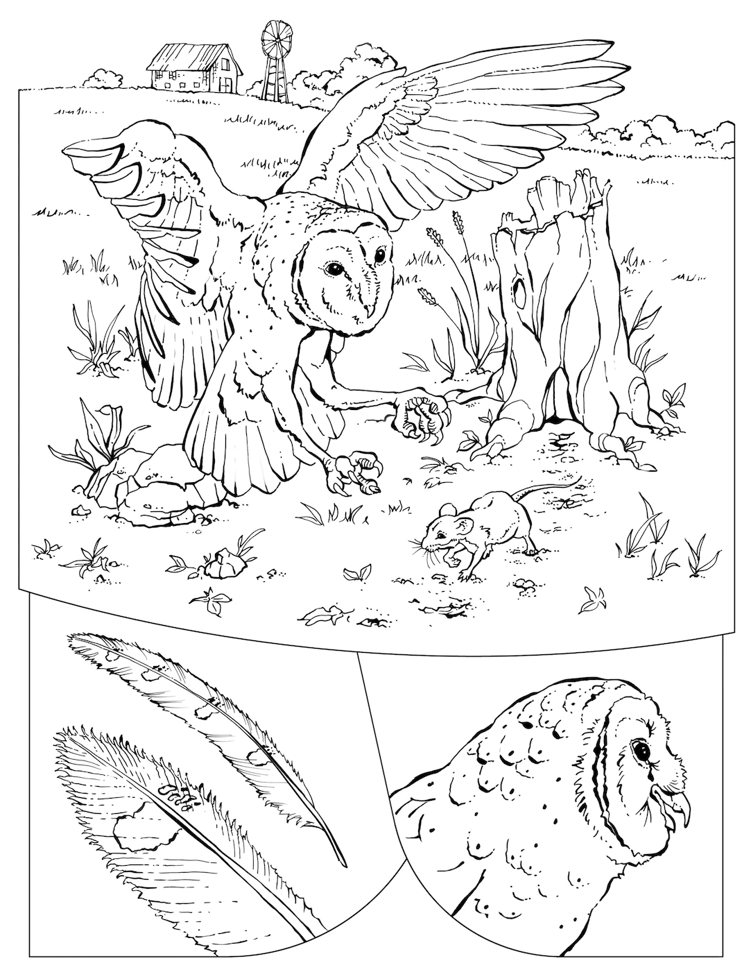 real animal pictures to color
