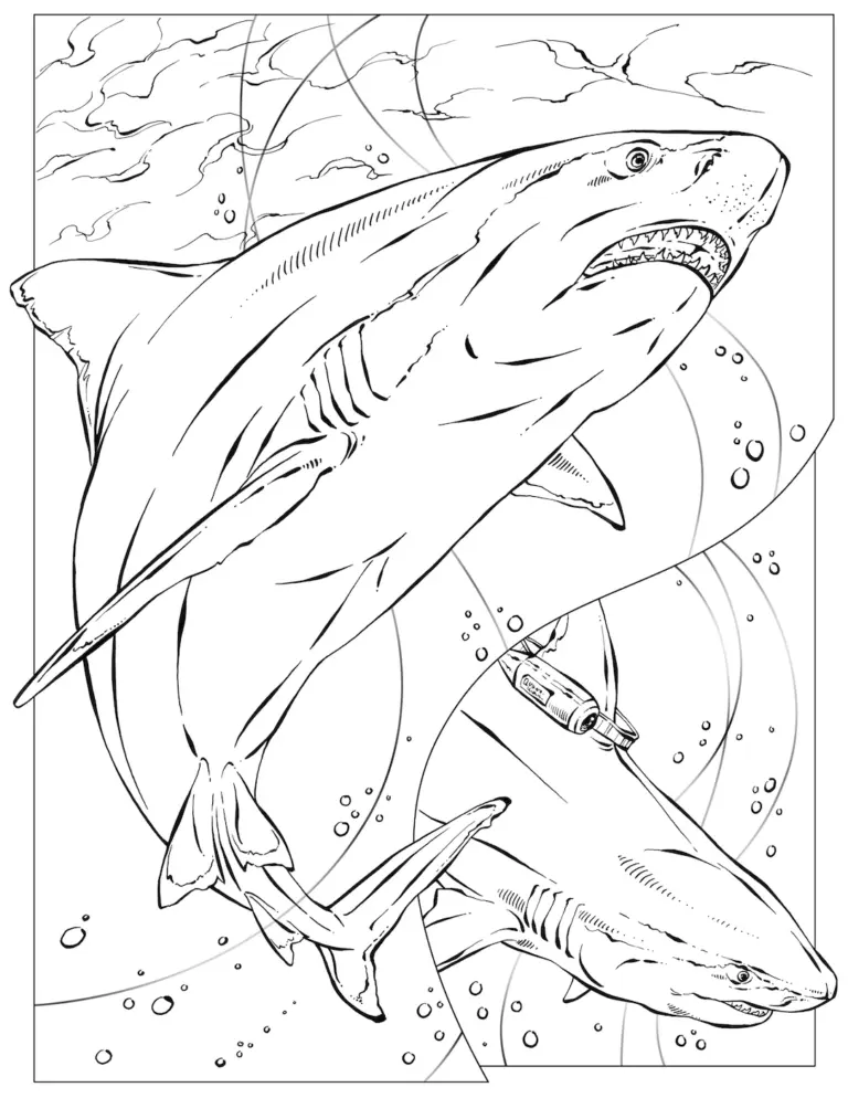 Coloring Book Animals A To I National Geographic Kids
