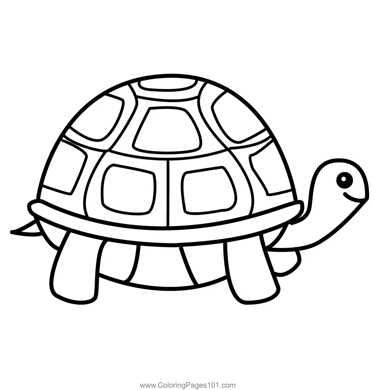 Cute Cartoon Turtle Coloring Page For Kids Free Turtles Printable Coloring Pages Online For Kids ColoringPages101 Coloring Pages For Kids