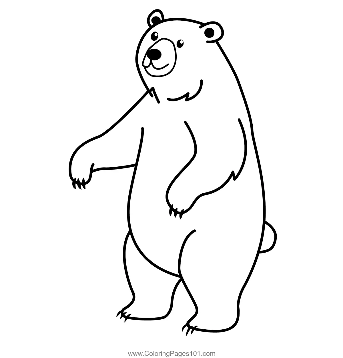 brown bear coloring pages brown bear coloring pages
