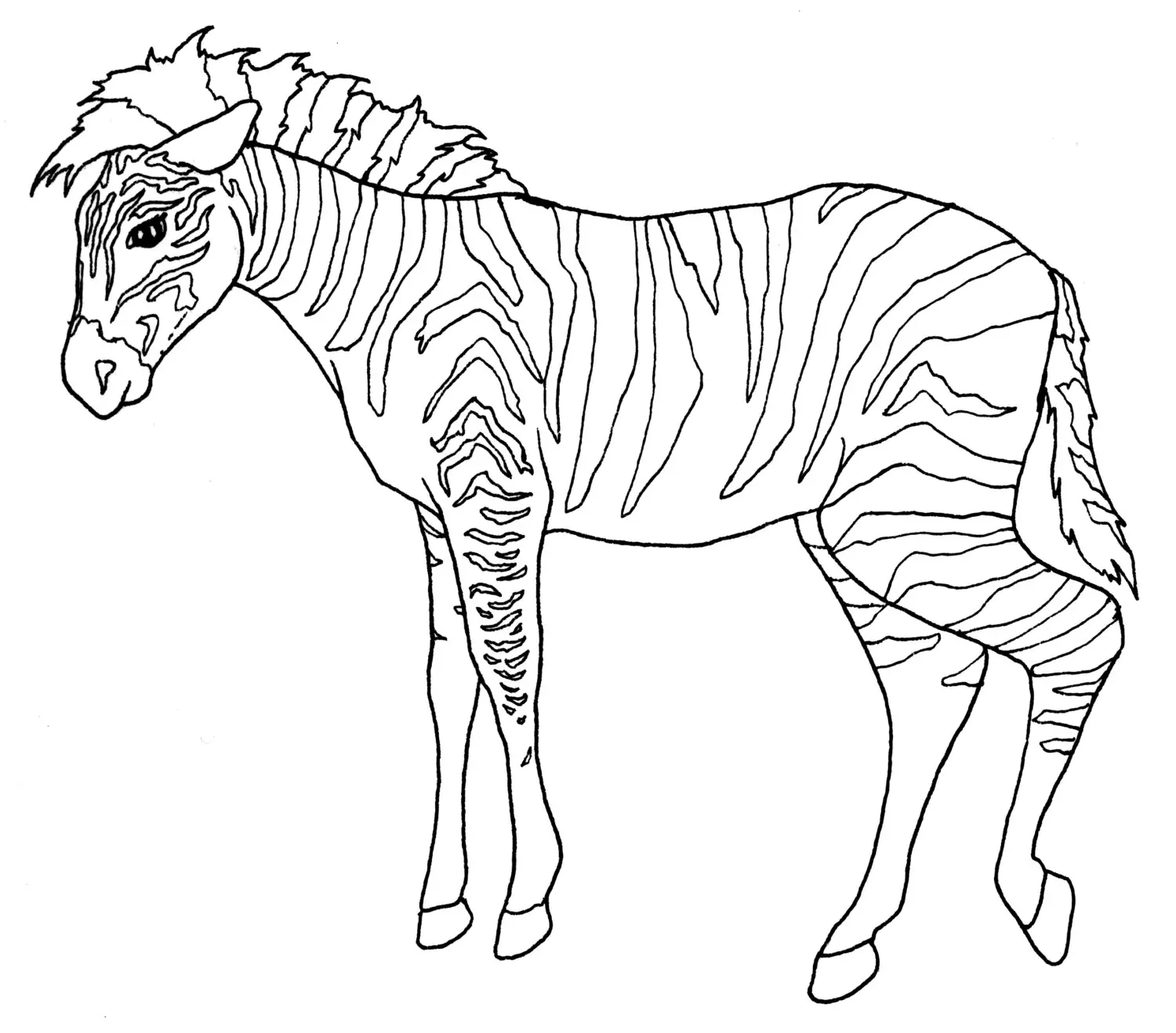 DIGITAL DOWNLOAD Zoo Animal Adult Coloring Book Pages Wild Animal Color In Digital Adult Coloring Pages Animal Themed Adult Coloring Art Etsy DIGITAL DOWNLOAD Zoo Animal Adult Coloring Book Pages Wild Animal Color In Digital Adult Coloring Pages Animal Themed Adult Coloring Art Etsy