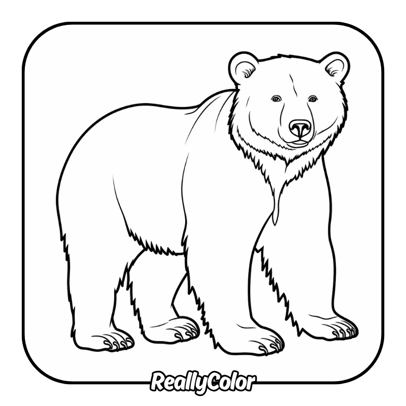 Free Printable Brown Bear Coloring Pages Free Printable Brown Bear Coloring Pages