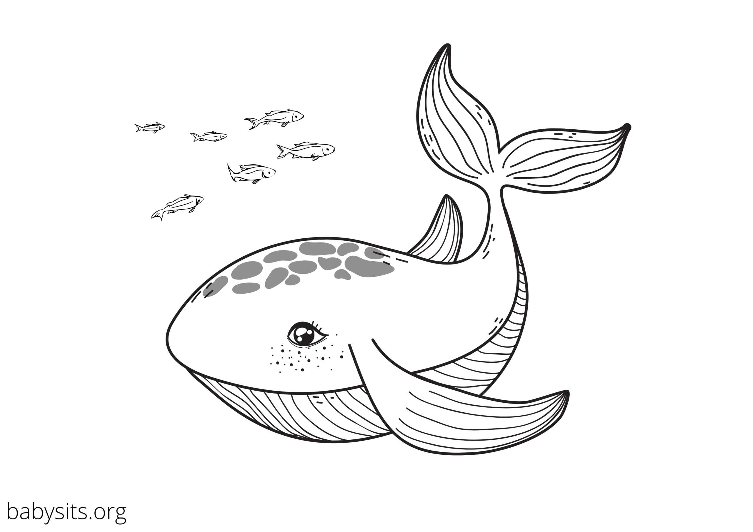 Free Printable Colouring Pages Of Sea Animals Free Printable Colouring Pages Of Sea Animals