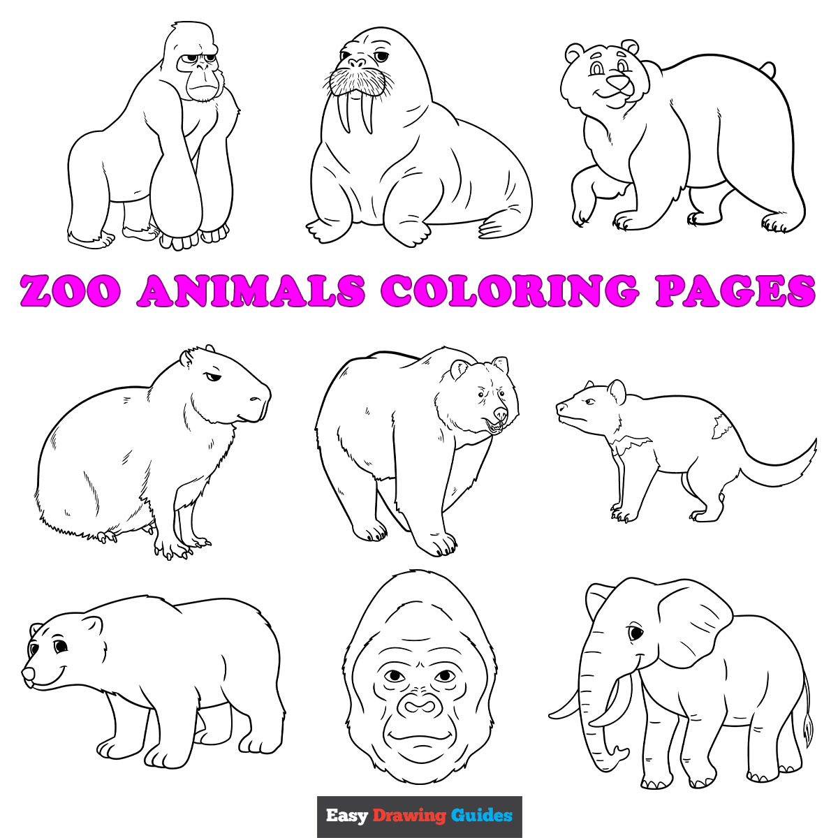 Free Printable Zoo Animals Coloring Pages For Kids Free Printable Zoo Animals Coloring Pages For Kids
