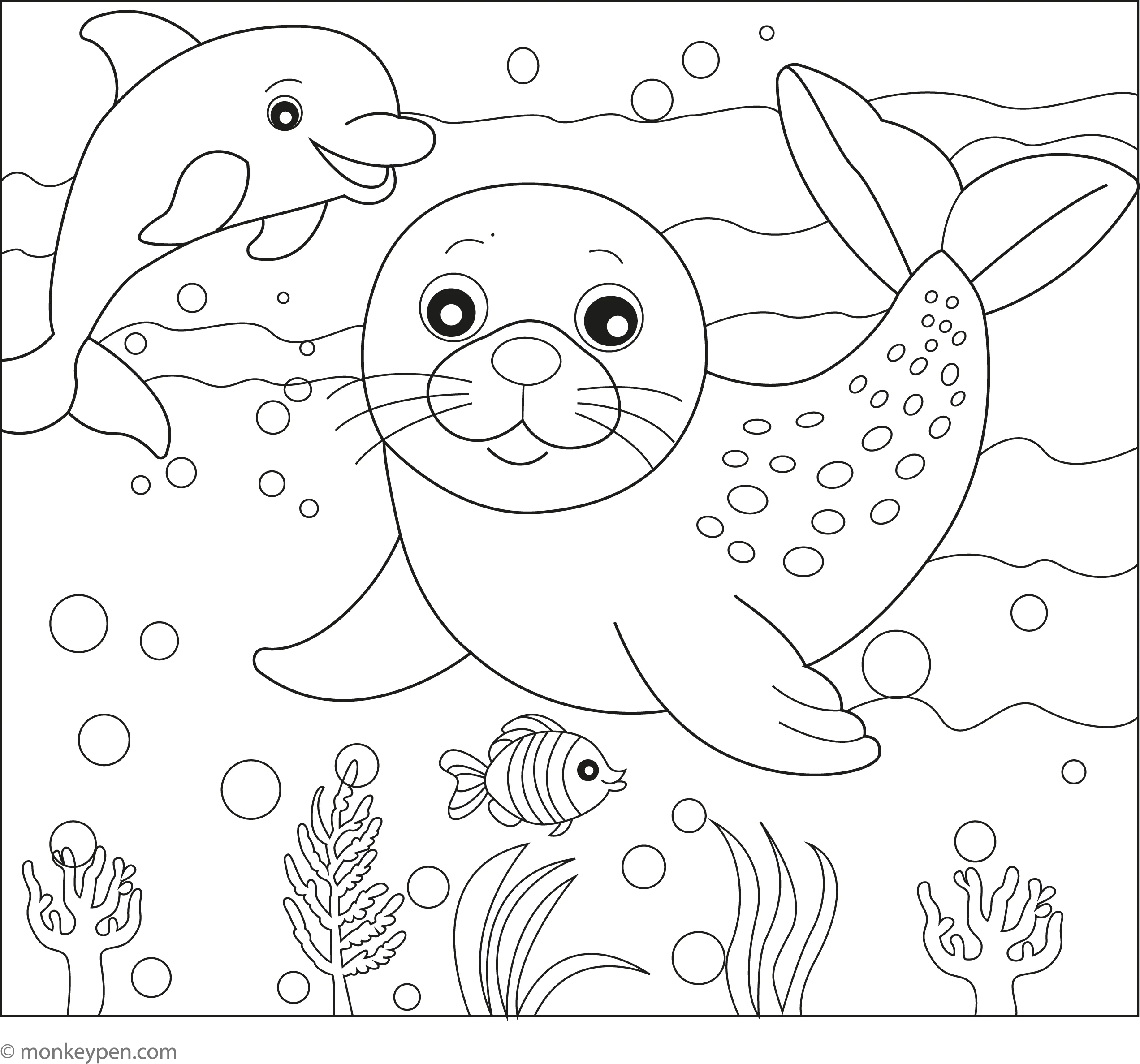 dolphin coloring book pages dolphin coloring book pages