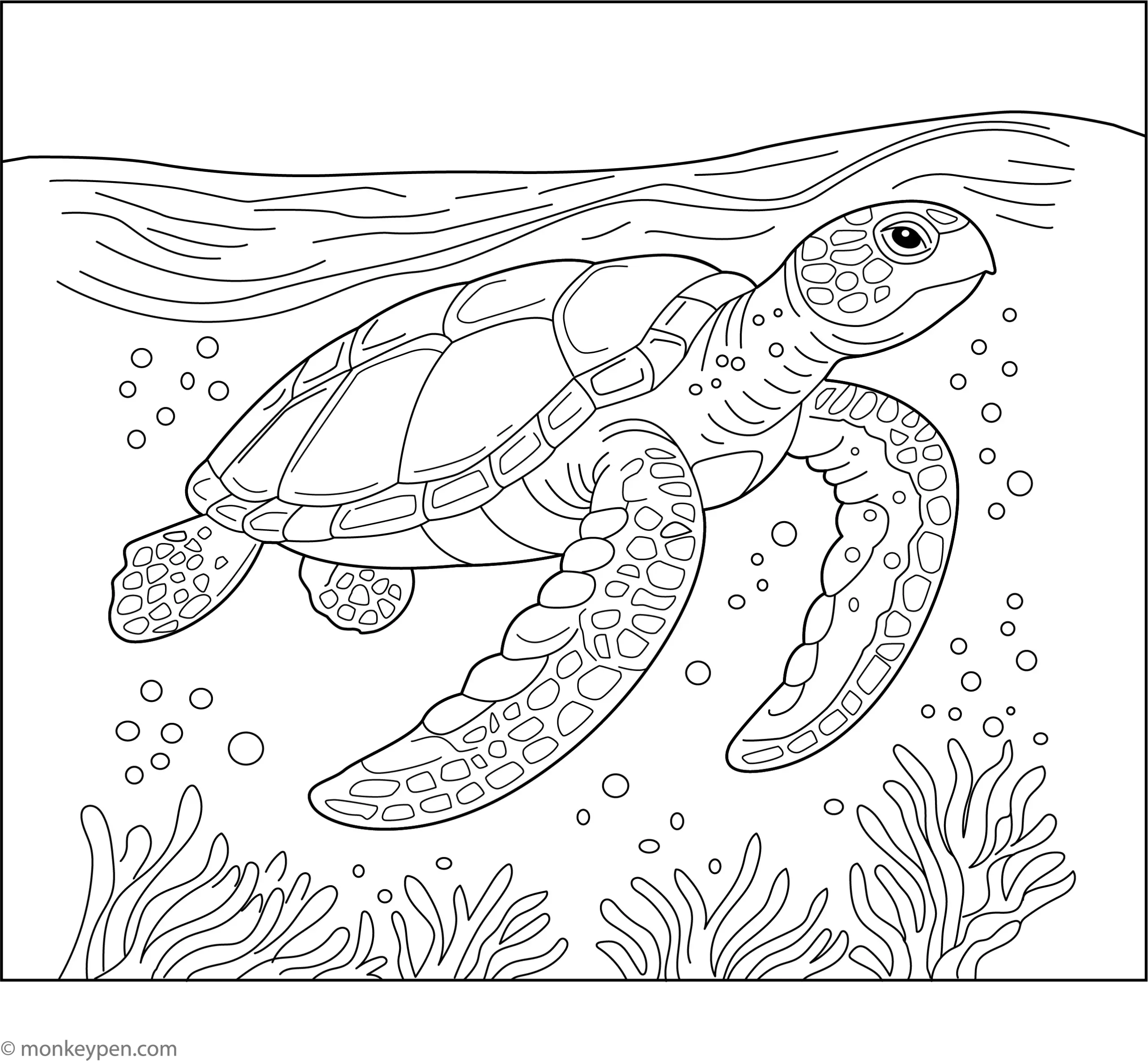 Hawksbill Turtle Free Printable Coloring Page Hawksbill Turtle Free Printable Coloring Page