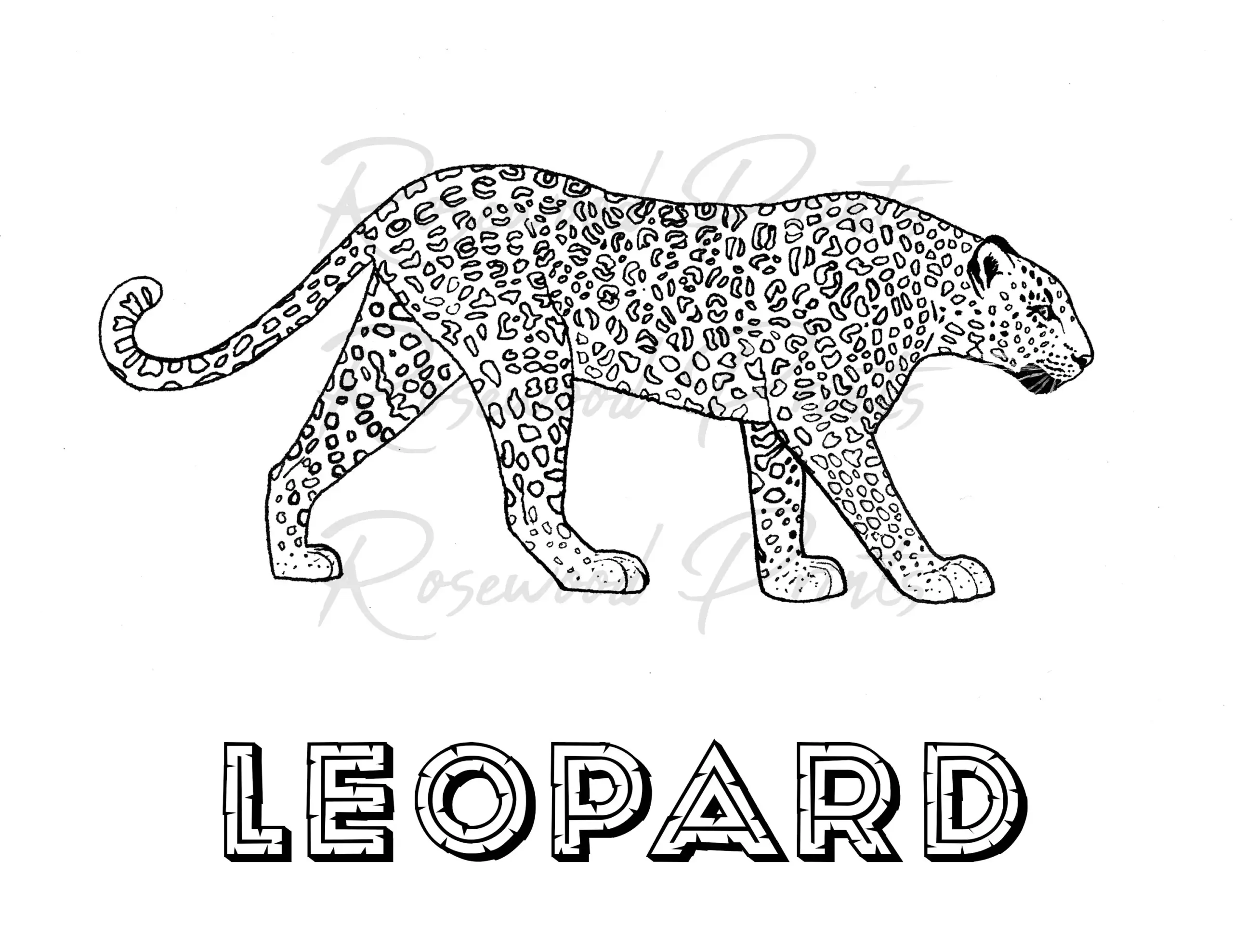 Leopard Coloring Page Etsy Leopard Coloring Page Etsy