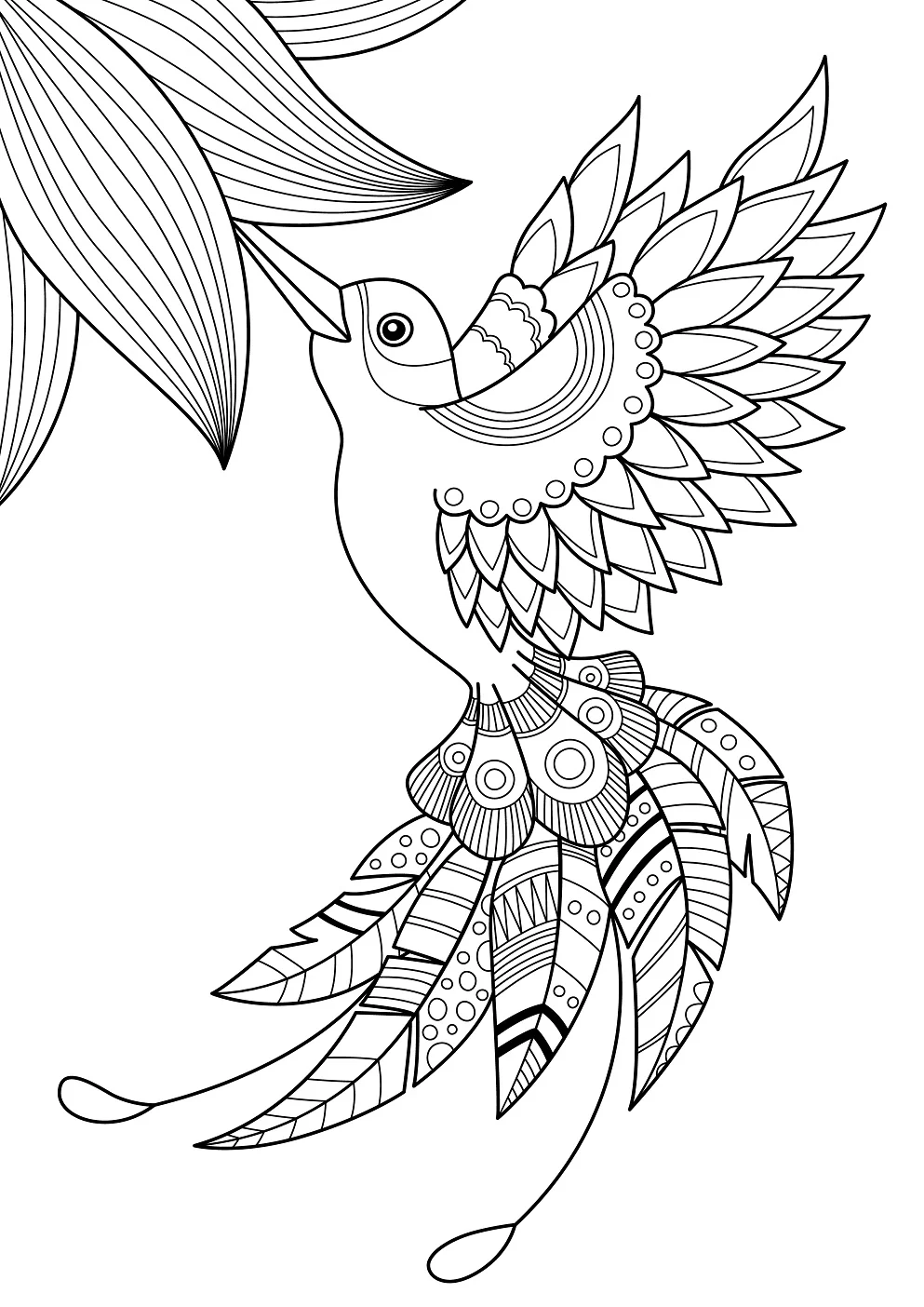 bird coloring book pages bird coloring book pages