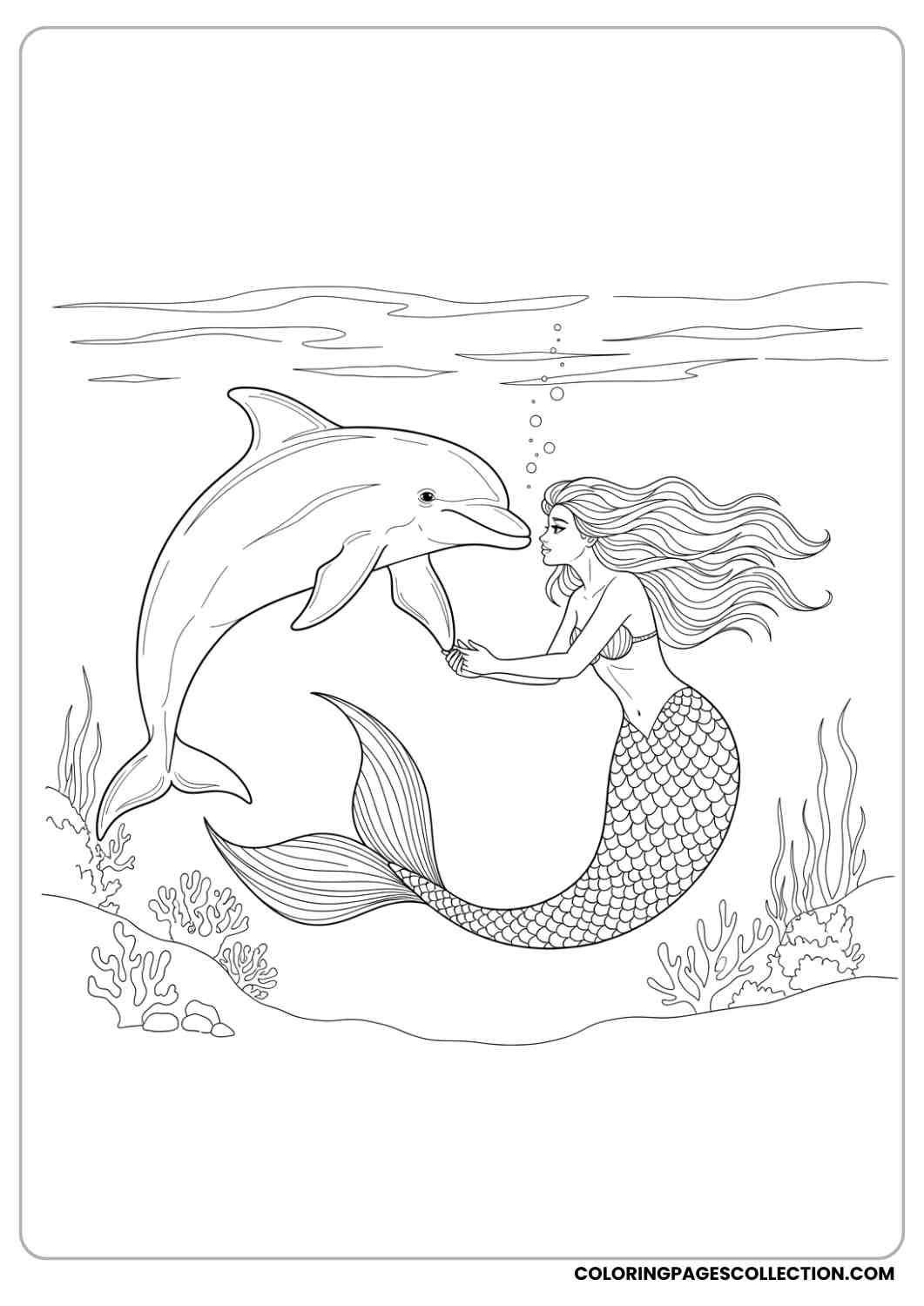 Printable Dolphin Coloring Pages For Kids Adults Printable Dolphin Coloring Pages For Kids Adults