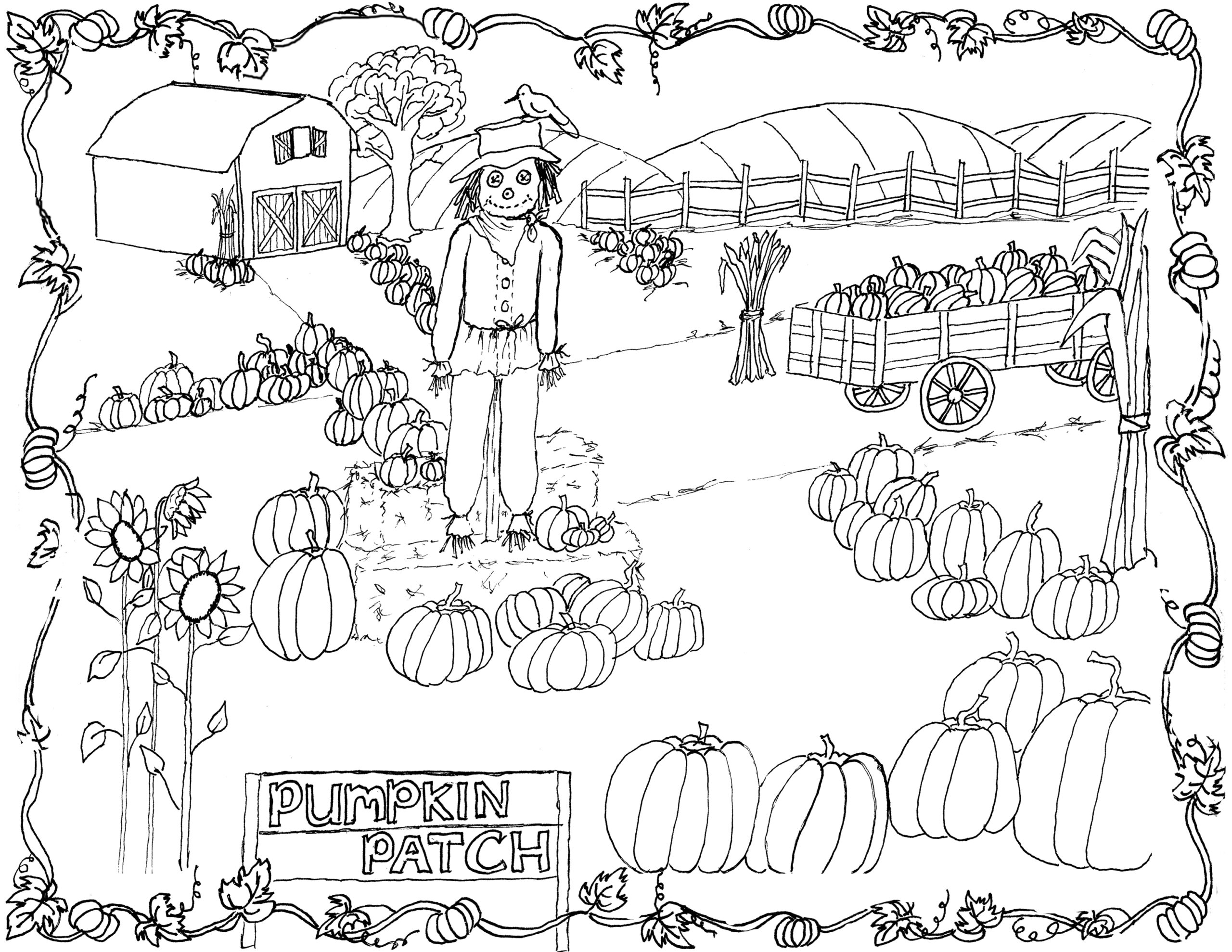 pumpkin patch coloring pages pumpkin patch coloring pages
