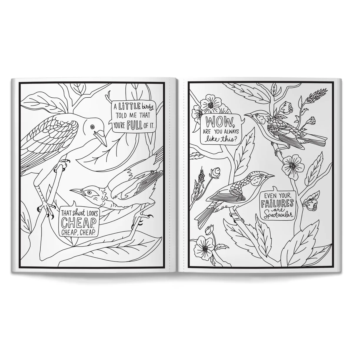Salty Birds Coloring Book Brass Monkey Salty Birds Coloring Book Brass Monkey