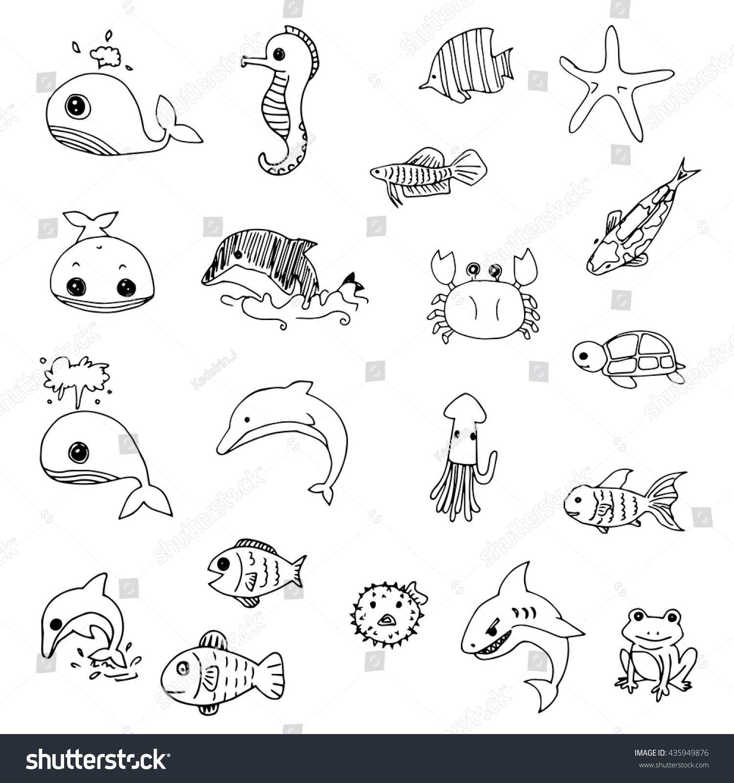 aquatic animals to draw aquatic animals to draw