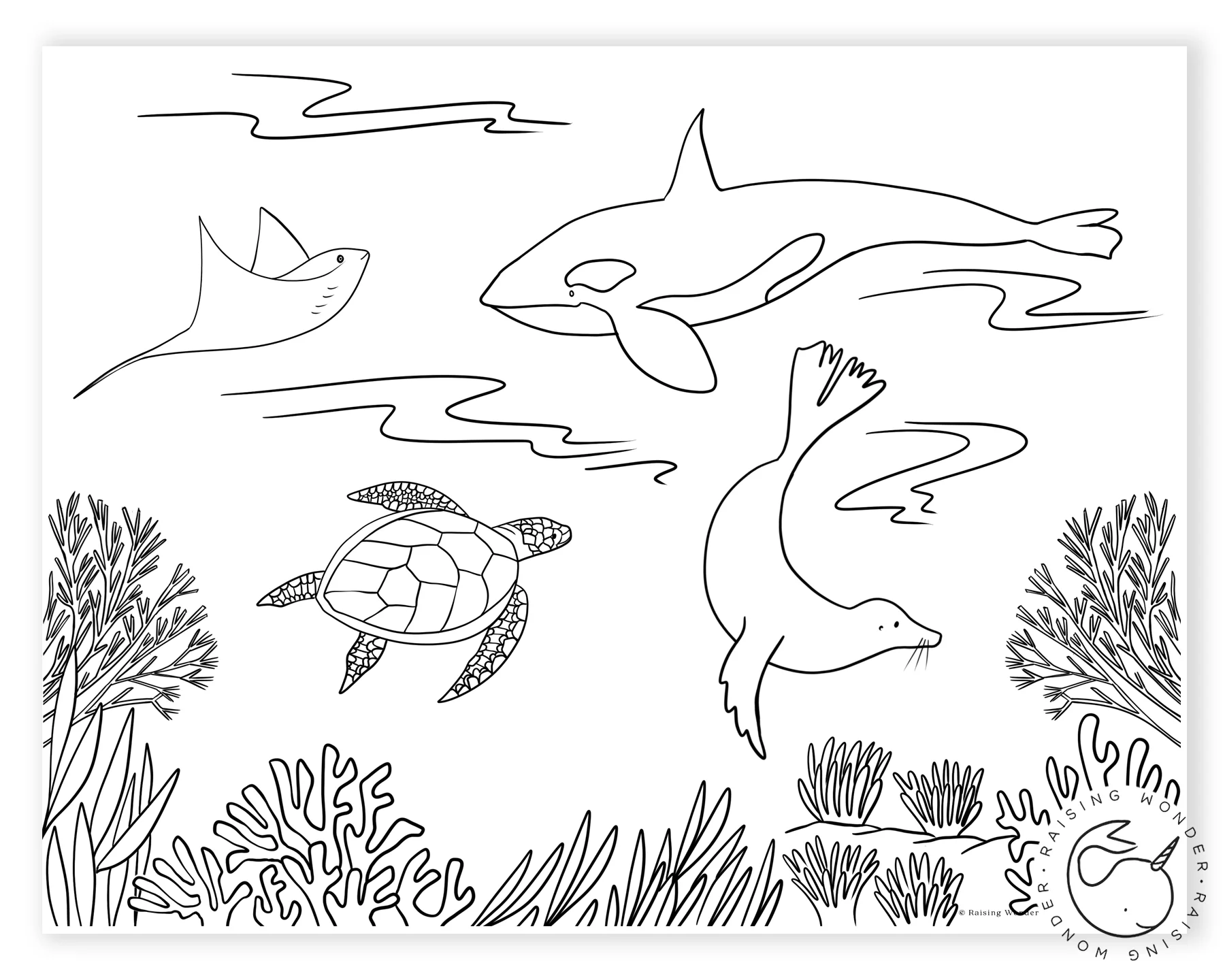 Single Coloring Page Sea Animals Sarah Jane Studios