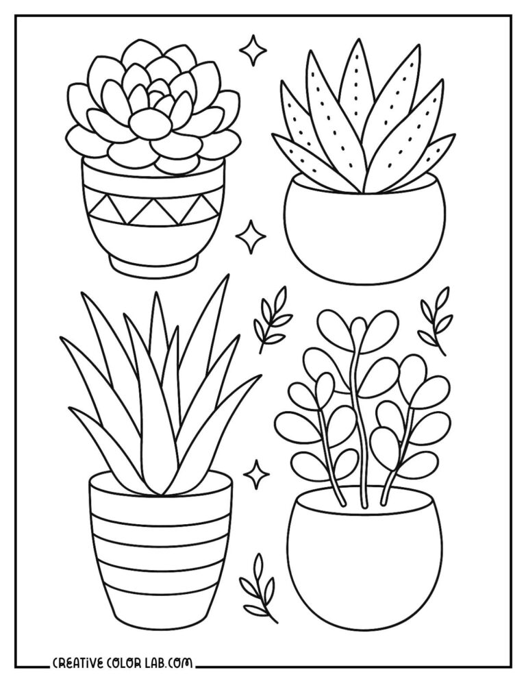 Succulent Coloring Pages Free PDF Printables