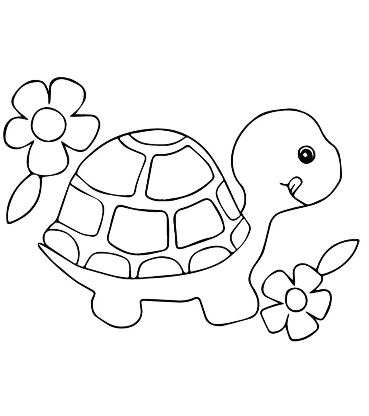 Top 20 Free Printable Turtle Coloring Pages For Toddlers