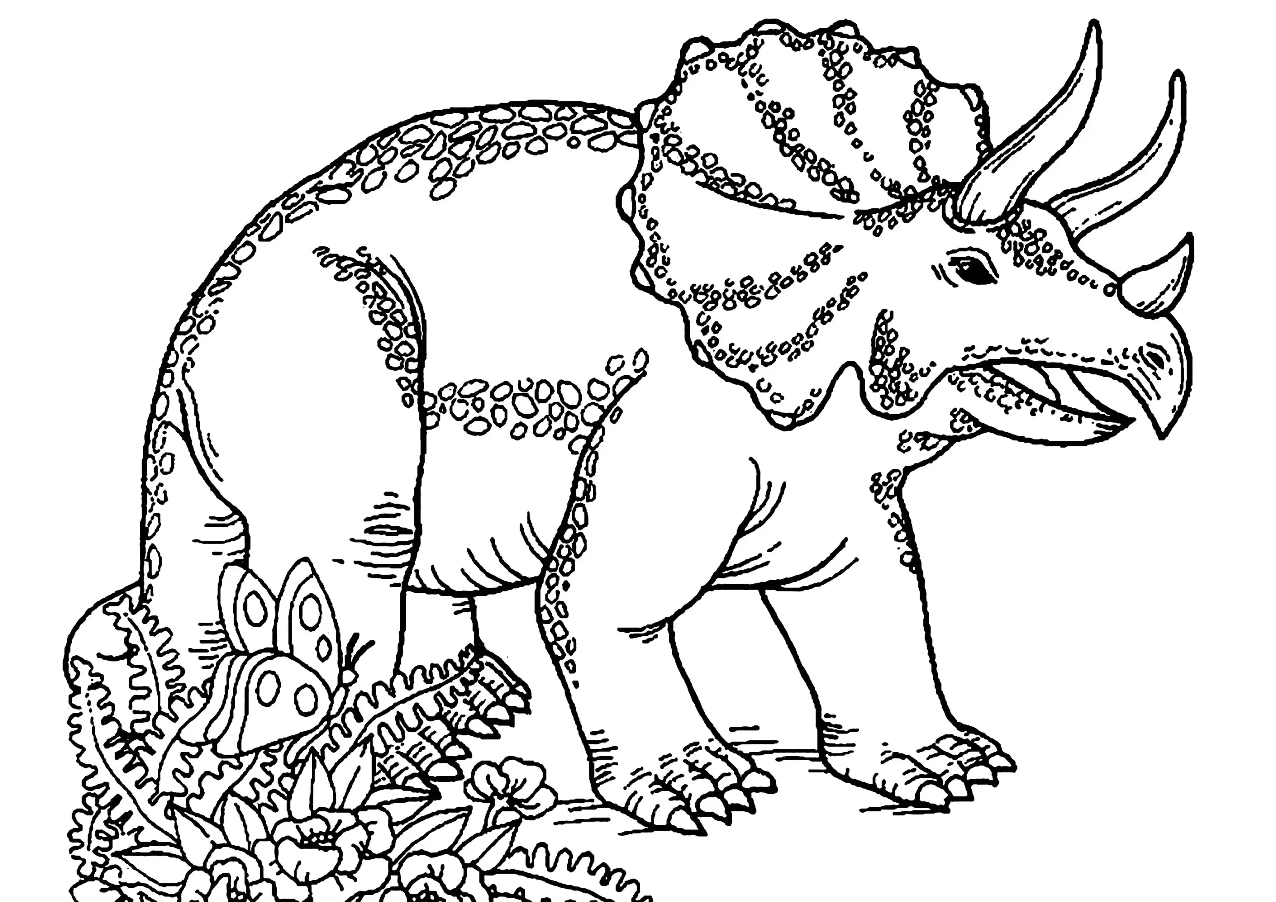 Triceratops Dinosaur Coloring Pages Triceratops Dinosaur Coloring Pages