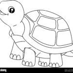 Turtle Coloring Page For Isolated Kids Stock Vector Image Art Alamy