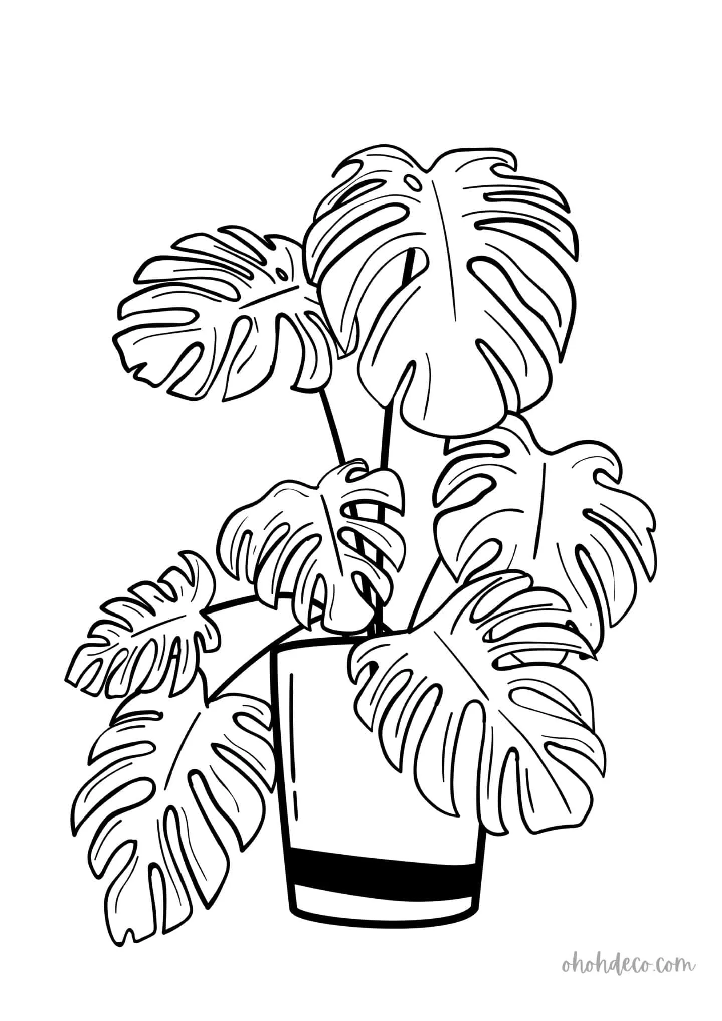 coloring pages for plants coloring pages for plants